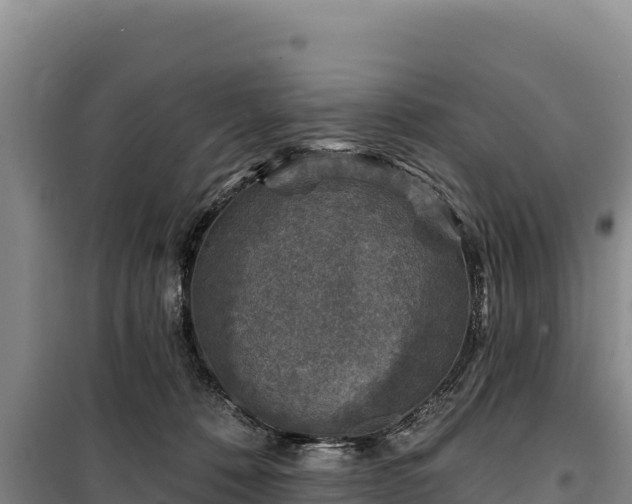 X0000100210320200806061352