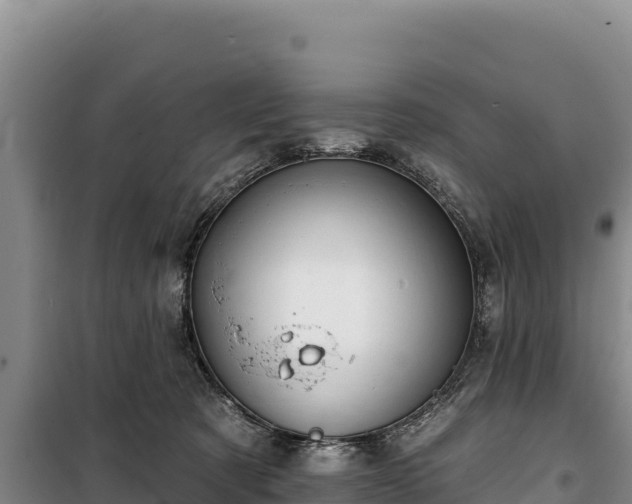 X0000100210321200806061352