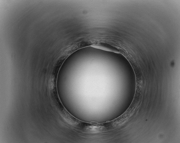 X0000100210323200806061352