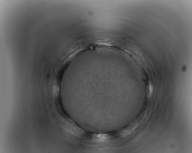 X0000100210324200806061352