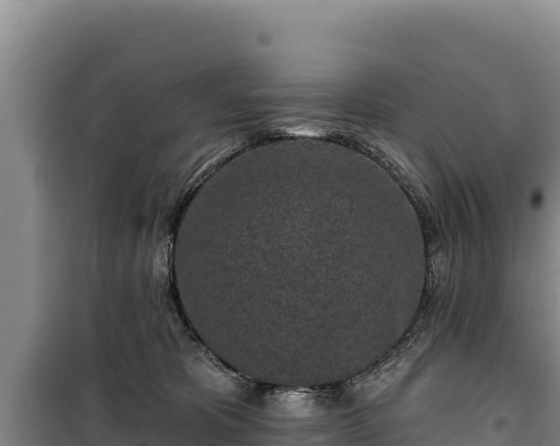 X0000100210325200806061352