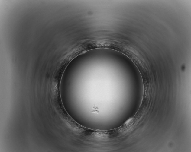 X0000100210327200806061352