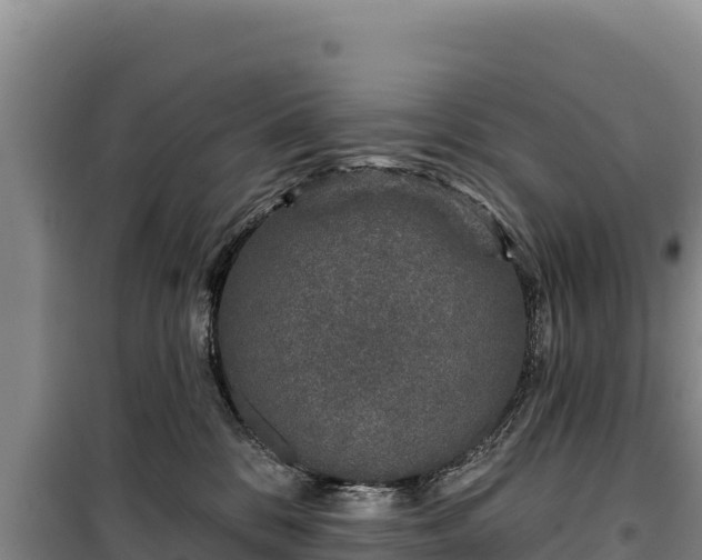 X0000100210328200806061352