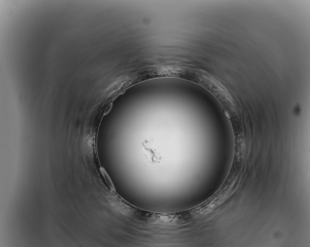 X0000100210329200806061352