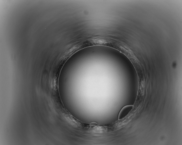 X0000100210330200806061351