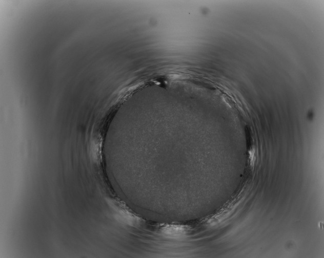 X0000100210332200806061351