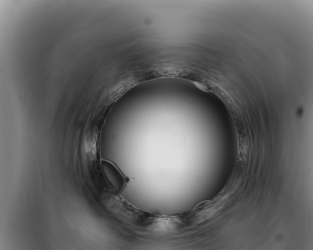 X0000100210334200806061351