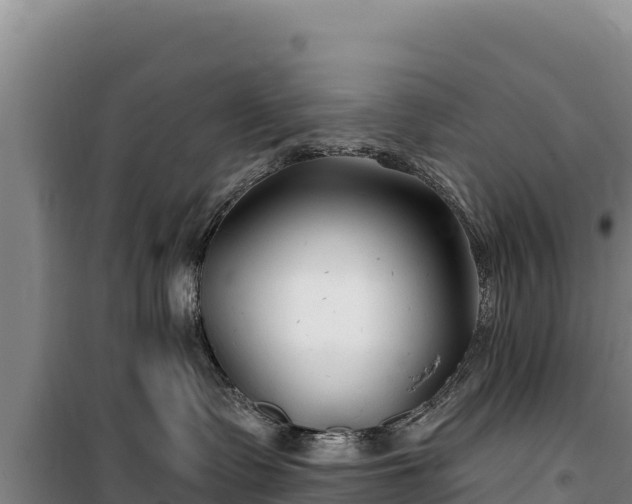 X0000100210335200806061351