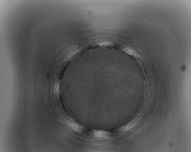 X0000100210336200806061351