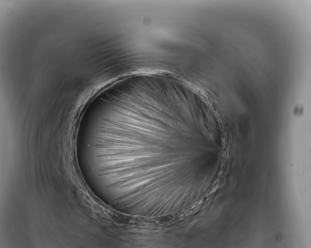 X0000100210337200806061351