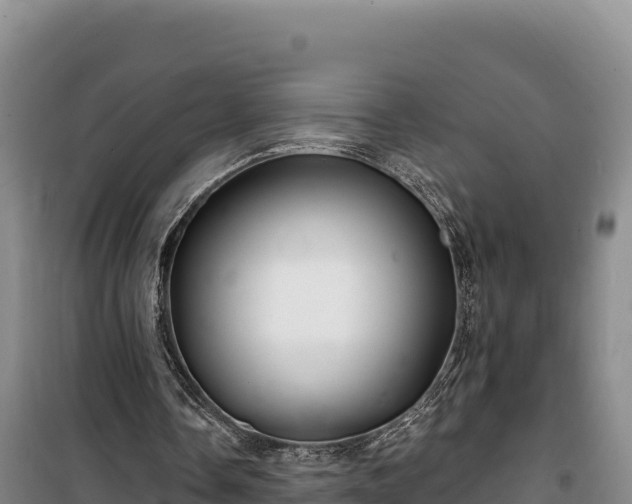 X0000100210338200806061351