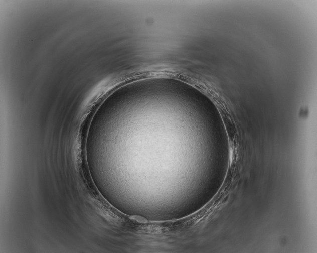 X0000100210339200806061351