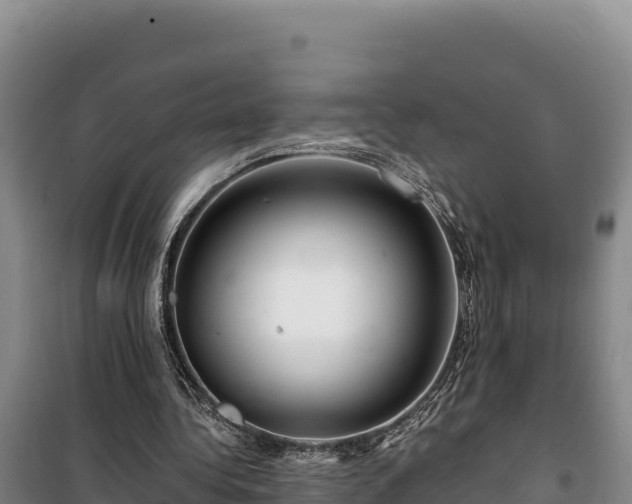 X0000100210340200806061351