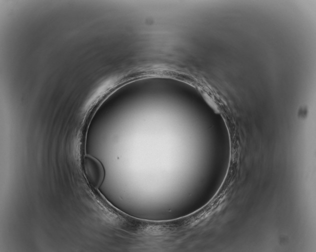 X0000100210341200806061351