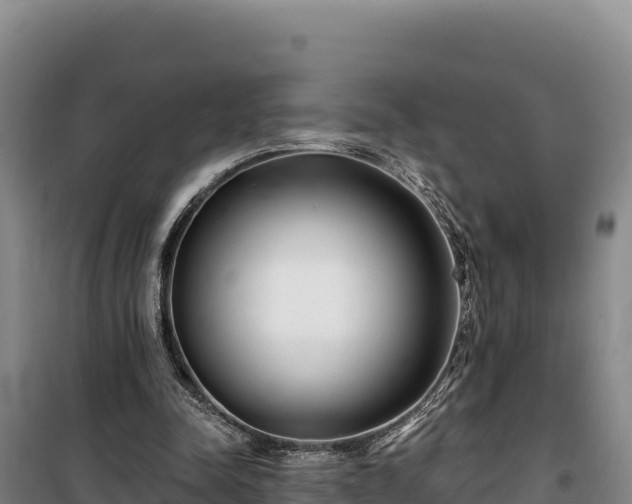 X0000100210342200806061351