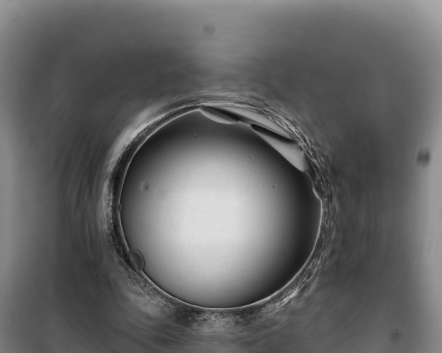 X0000100210343200806061351