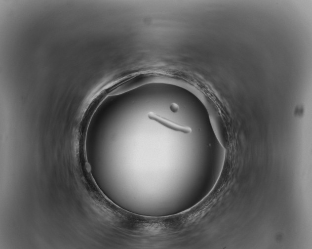 X0000100210344200806061351