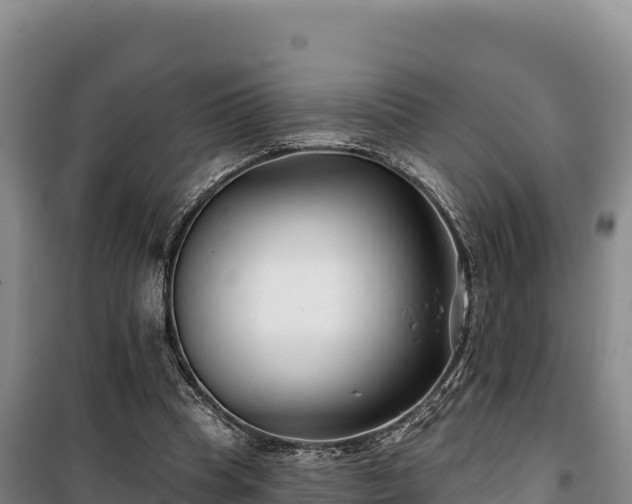 X0000100210345200806061351