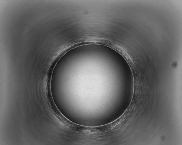 X0000100210346200806061351