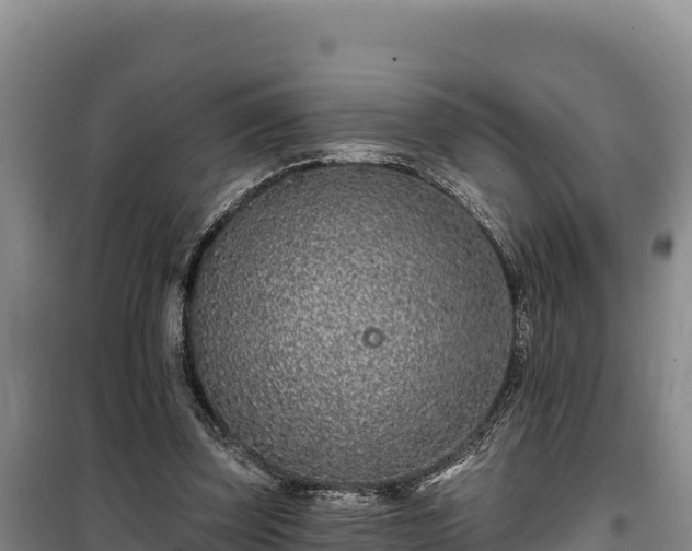 X0000100210347200806061351