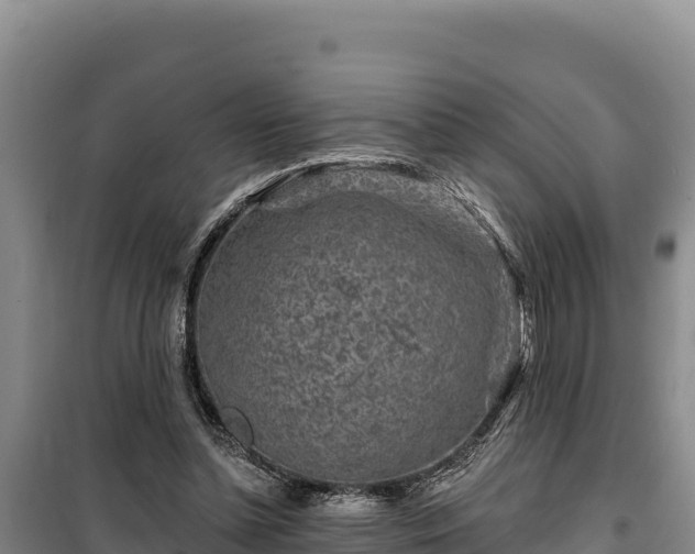 X0000100210348200806061351