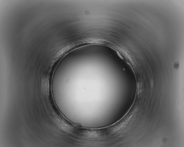 X0000100210349200806061351