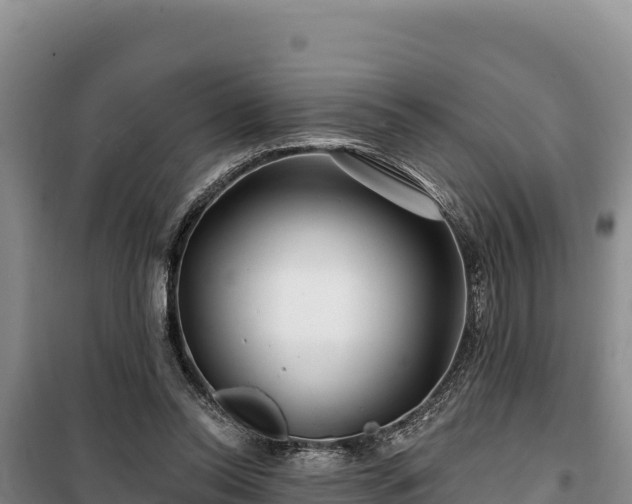 X0000100210350200806061351