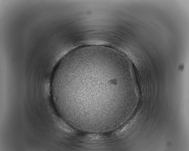 X0000100210351200806061351