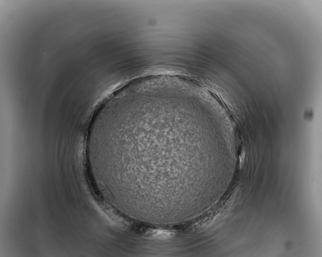 X0000100210352200806061351