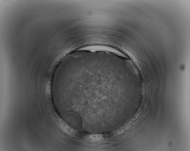 X0000100210353200806061351