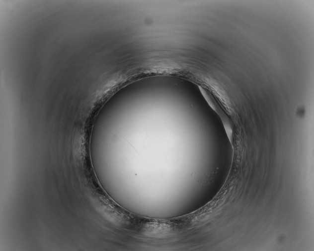 X0000100210354200806061351