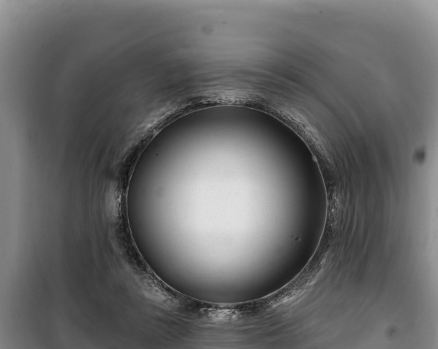 X0000100210355200806061351