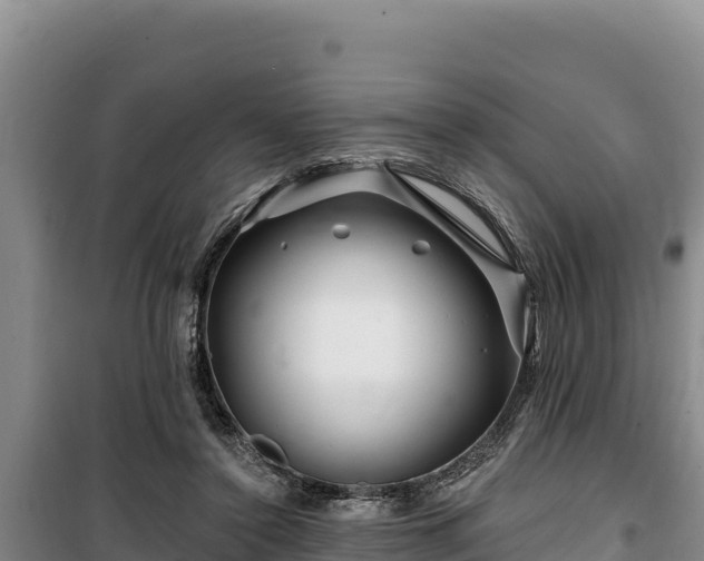 X0000100210356200806061351