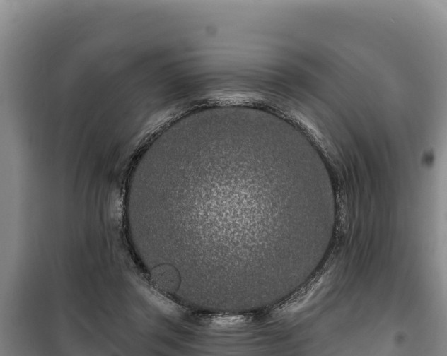 X0000100210357200806061351