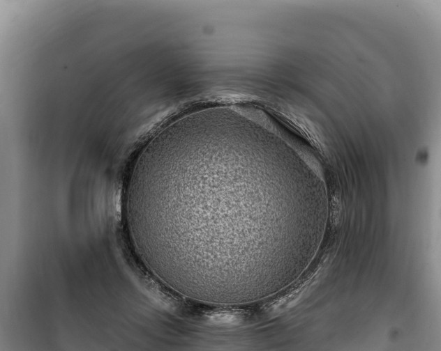 X0000100210358200806061351