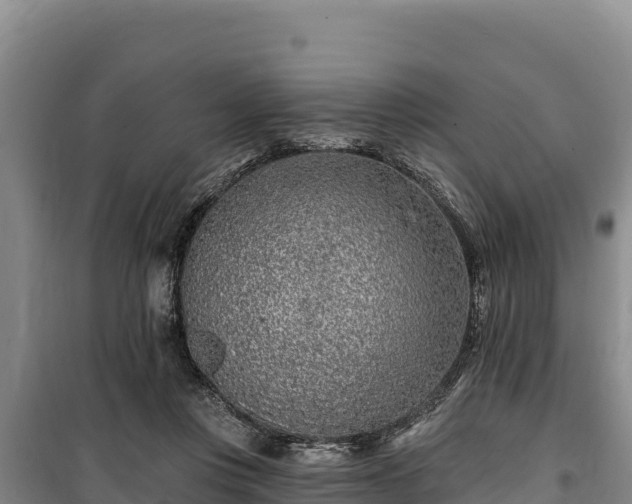 X0000100210359200806061351