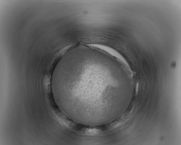 X0000100210360200806061351