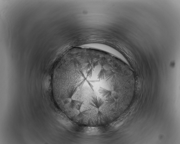 X0000100210361200806061351