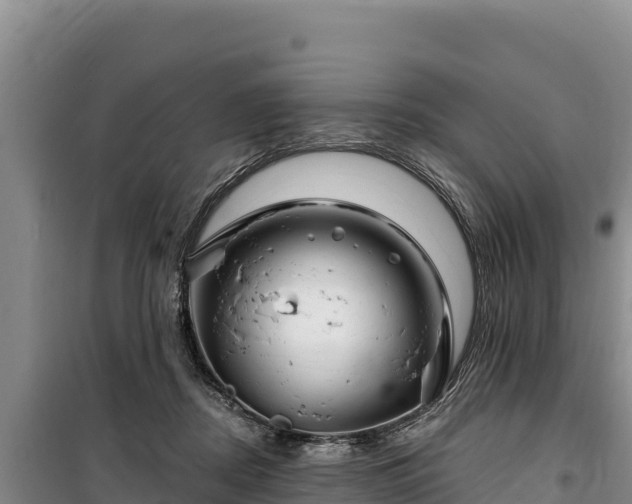 X0000100210362200806061351