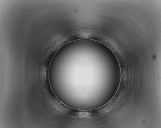 X0000100210363200806061351