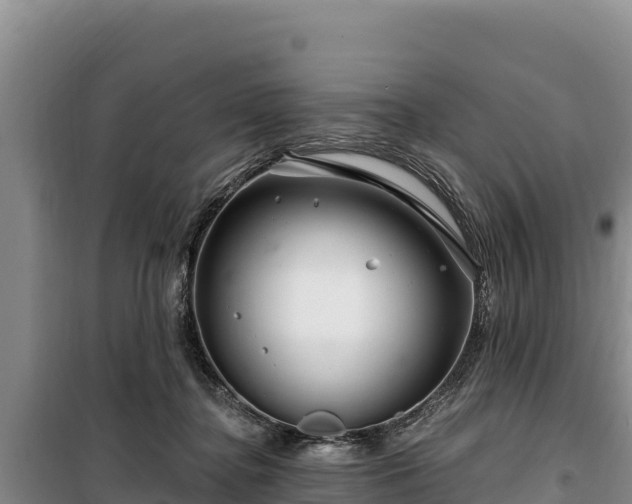 X0000100210364200806061351