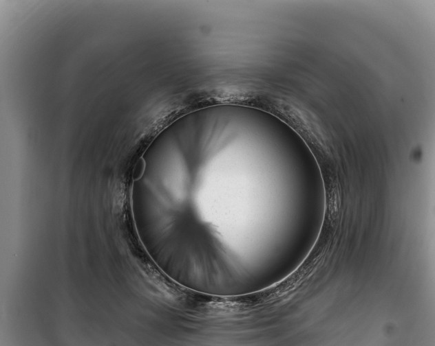 X0000100210367200806061351