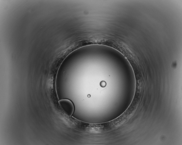 X0000100210368200806061351