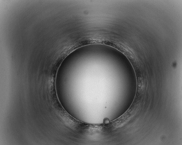 X0000100210369200806061351