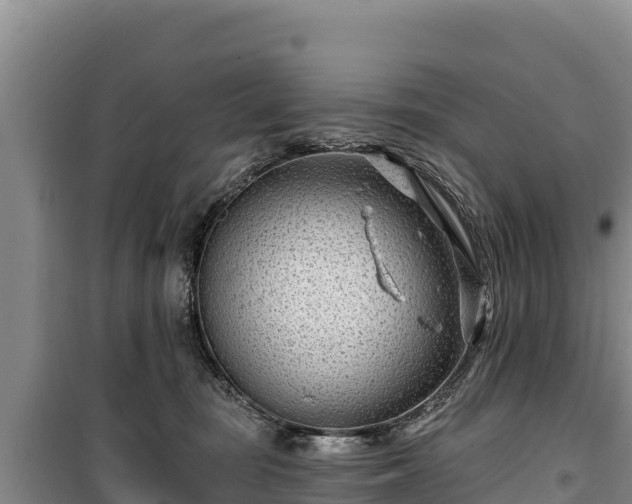 X0000100210371200806061351