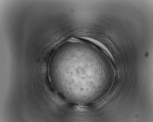 X0000100210372200806061351