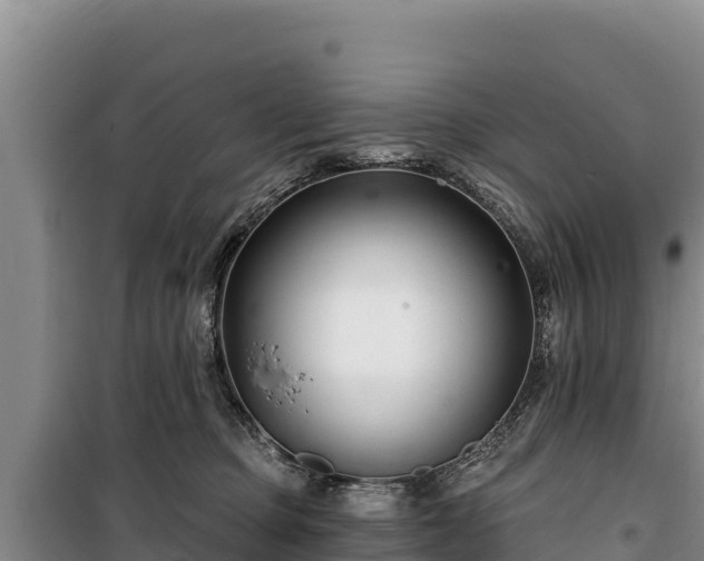 X0000100210373200806061351