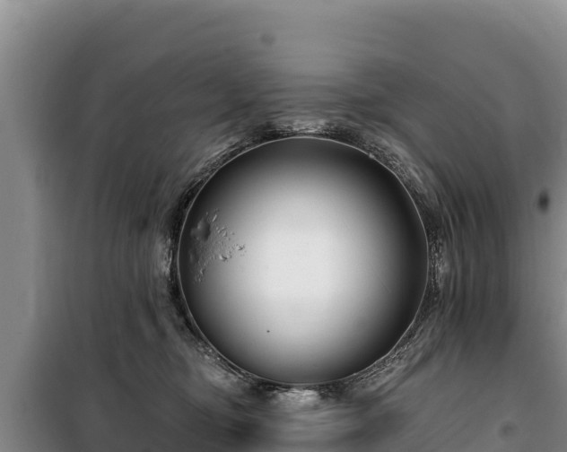 X0000100210374200806061351