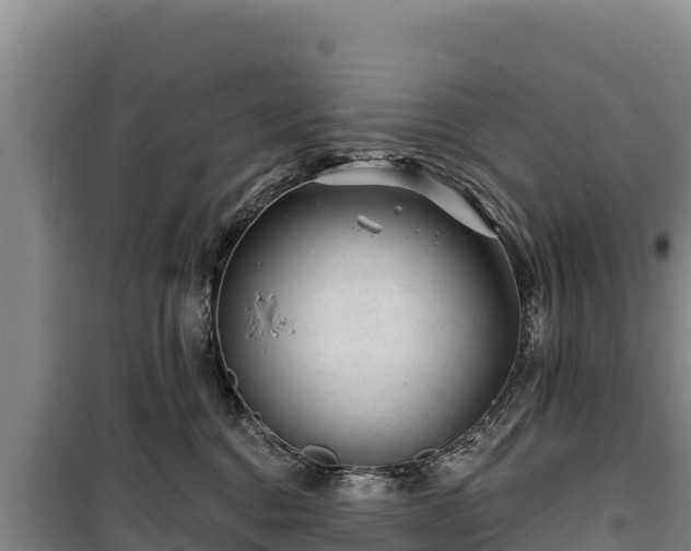 X0000100210376200806061351