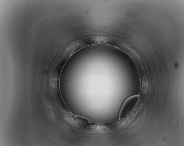 X0000100210379200806061351